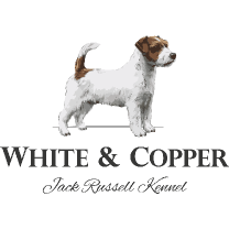 White & Copper